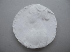 Tirage d'une médaille : buste de Julie Astalia
