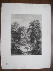 Le torrent de la Grande Chartreuse