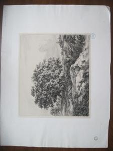 Les chênes au marais. Souvenir de Dampierre