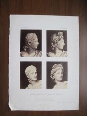Apollon Steinhaeuser et Apollon Farnèse