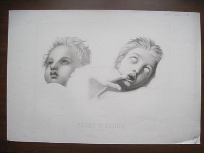 Têtes d'étude