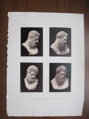 Hercule Steinhaeuser et Hercule Farnèse