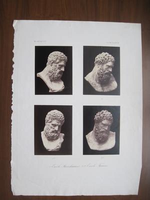 Hercule Steinhaeuser et Hercule Farnèse