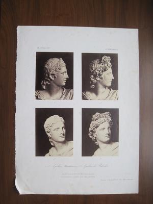 Apollon Steinhaeuser et Apollon Farnèse