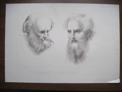 Têtes d'étude