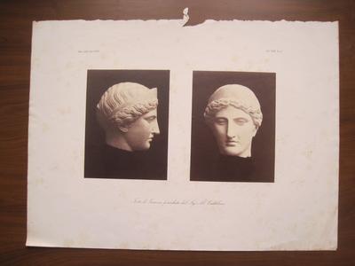 Junon Castellani