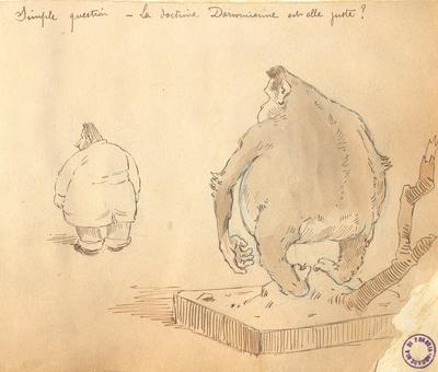 Simple question – La doctrine Darwinenne est-elle juste ?