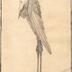 Ménagerie Médicis N°1 : Antoine Larée 