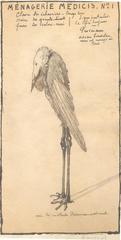 Ménagerie Médicis N°1 : Antoine Larée 