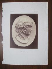 Méduse Ludovisi