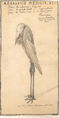 Ménagerie Médicis N°1 : Antoine Larée 