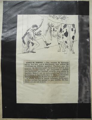 Courses de taureaux