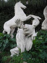 Niobide, type Psyché